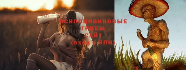 мяу мяу мука Абаза