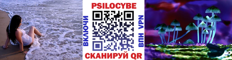 Псилоцибиновые грибы Psilocybe  купить наркоту  Эртиль 